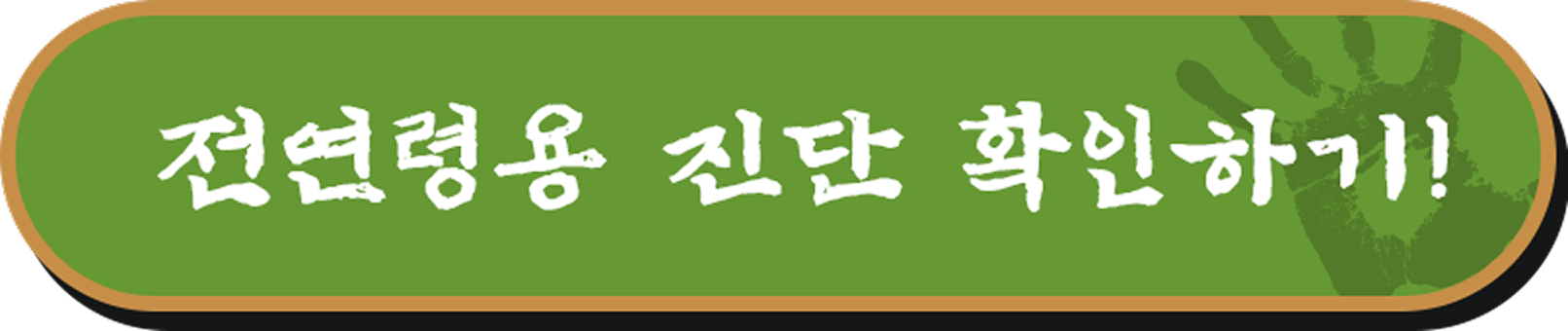 전연령용 진단 확인하기!